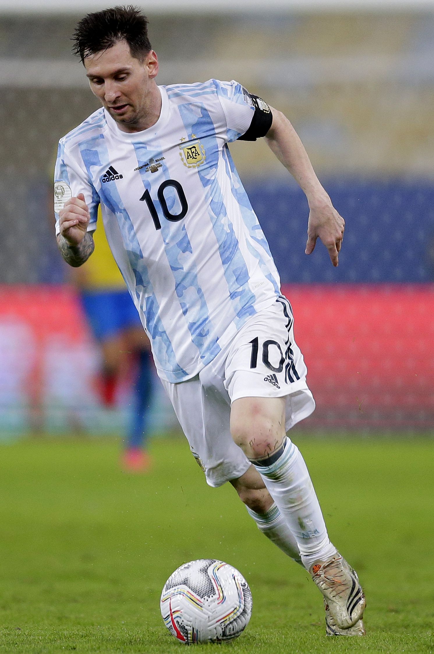 智地从人群 智地从人群