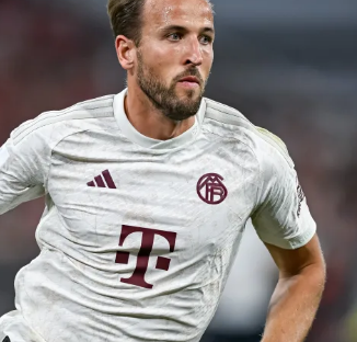 样性和球队 样性和球队